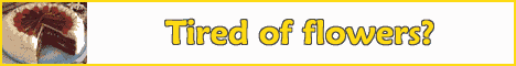 animatedbanner1.gif (11382 bytes)
