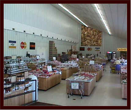 wpe48.jpg (23041 bytes)