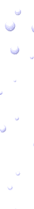 Bubdiv_3.gif (9567 bytes)