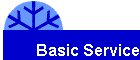 Basic Service