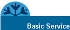 Basic Service