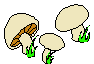 Mushrms.wmf (7118 bytes)