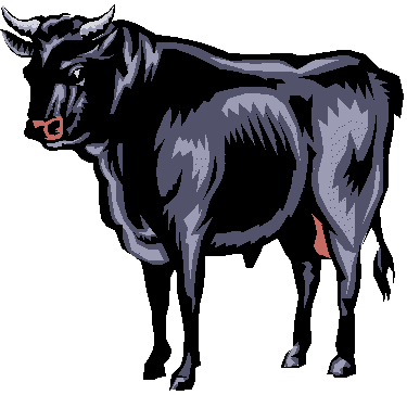 Beef