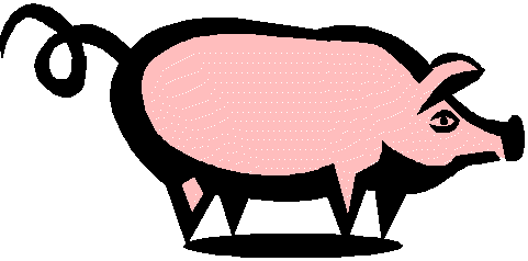 Pork