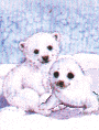 Two Darlings!