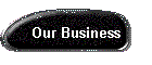 Our Business
